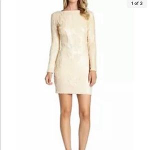Dress the population sequin body con dress from Nordstrom. Never worn.